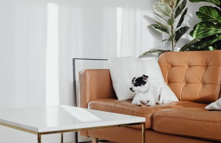 wd-furniture-blog-5-opt