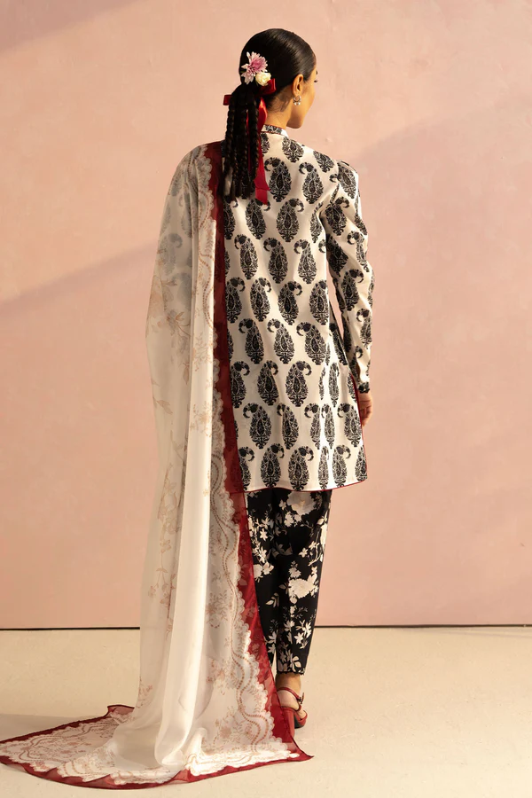 Paisley 6Ab