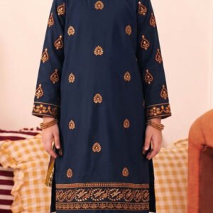 MOONLIGHT KIDS 3PC DHANAK EMBROIDERED WITH 3D PASHMINA SHAWL VOL-269-D-786