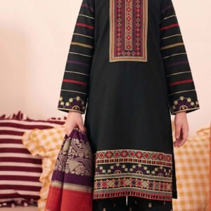 MOONLIGHT KIDS 3PC DHANAK EMBROIDERED WITH 3D PASHMINA SHAWL VOL-269-D-782