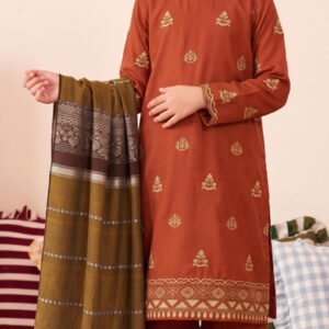 MOONLIGHT KIDS 3PC DHANAK EMBROIDERED WITH 3D PASHMINA SHAWL VOL-269-D-783
